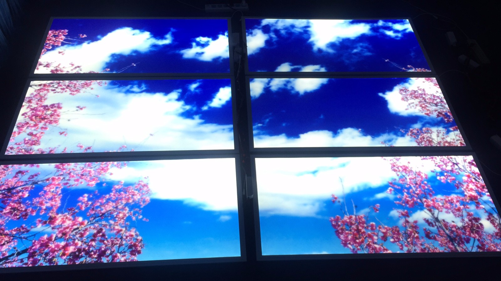 600x1200 scene led panel light.jpg